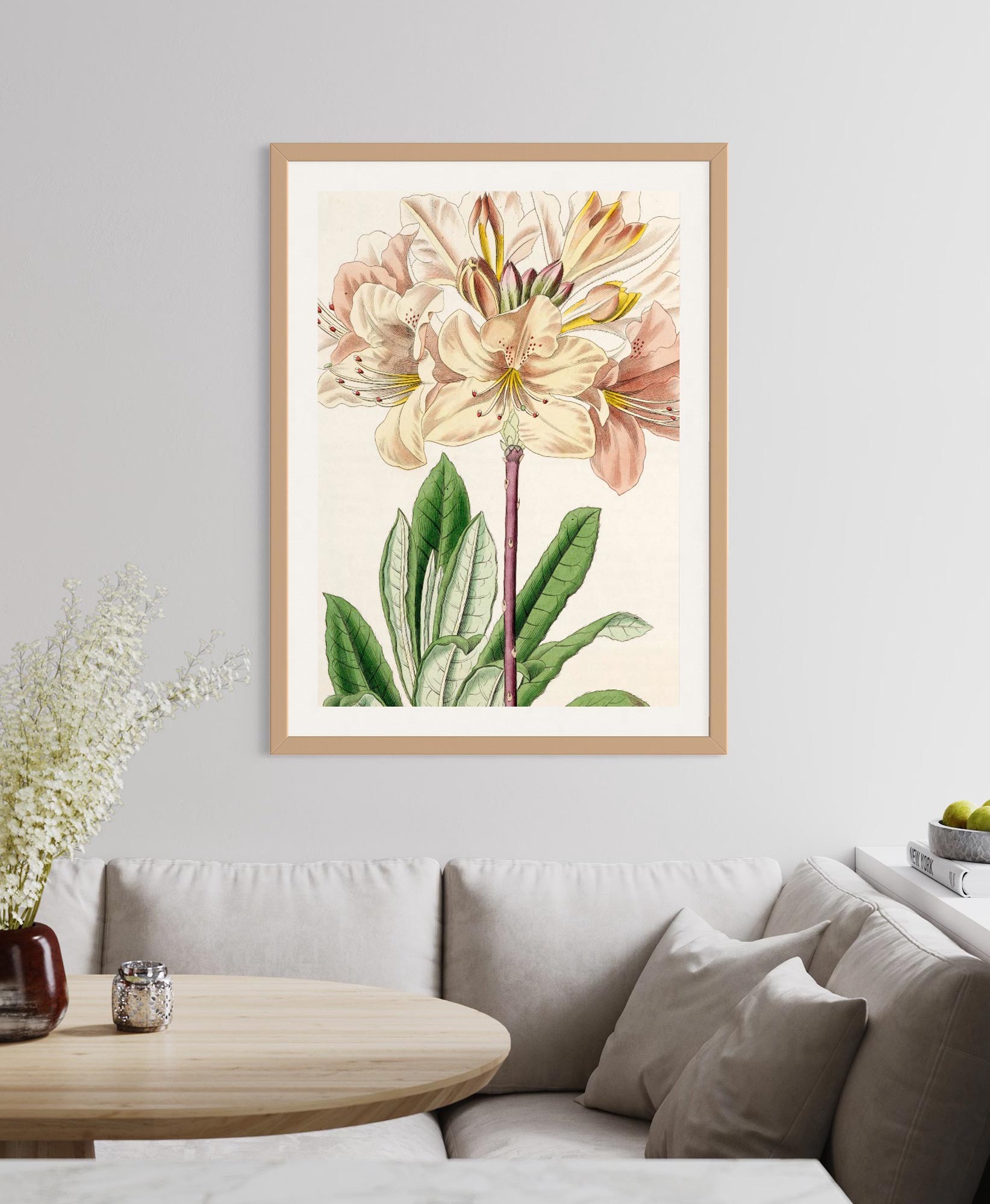 Rhododendron  - Botanical Collection