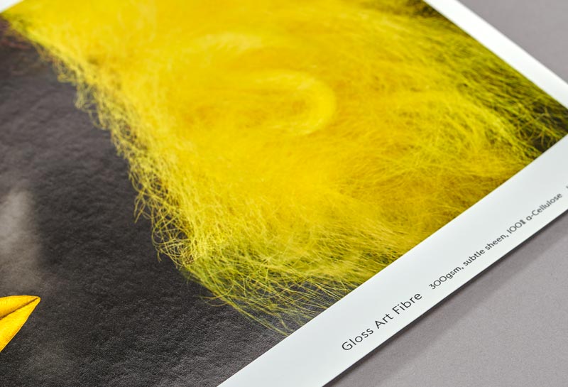 Gloss Art Fibre