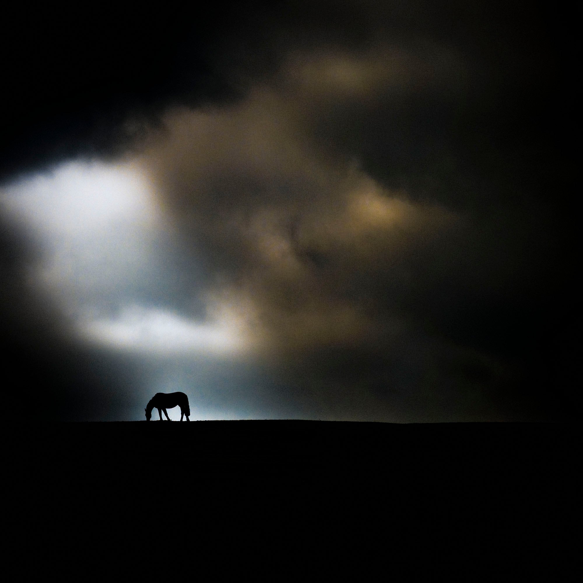 Light