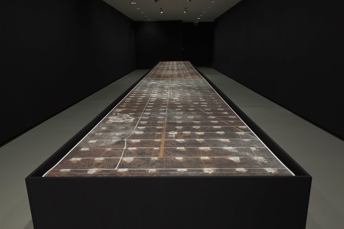 FIELD, by Mishka Henner