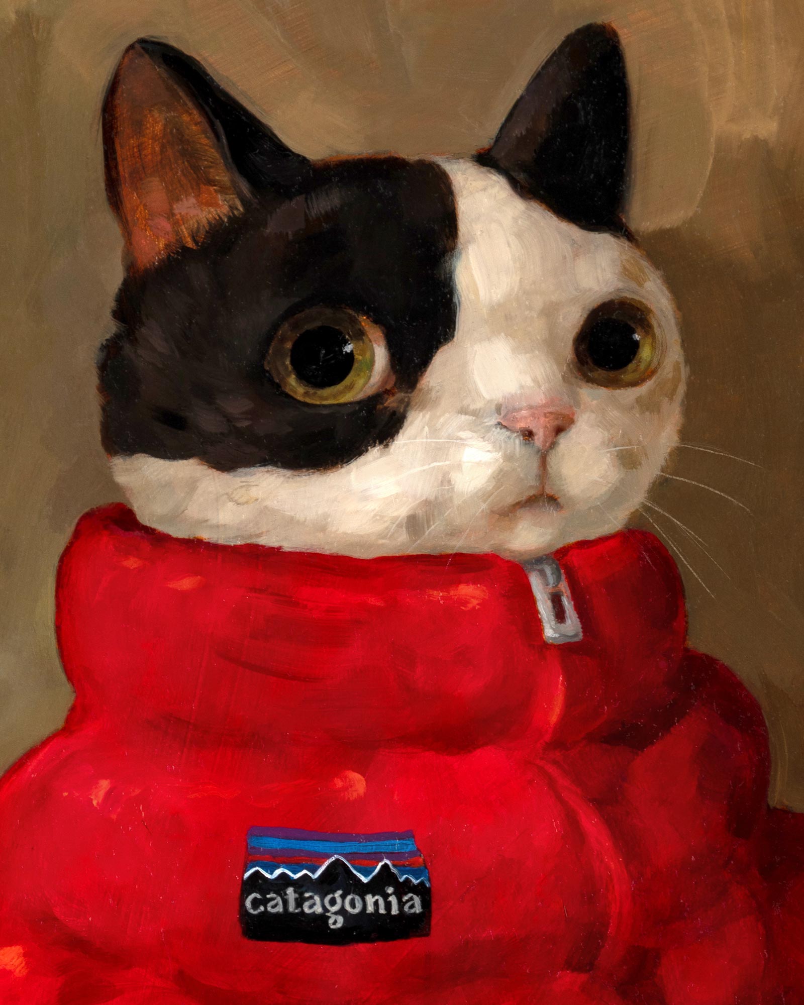 Catagonia