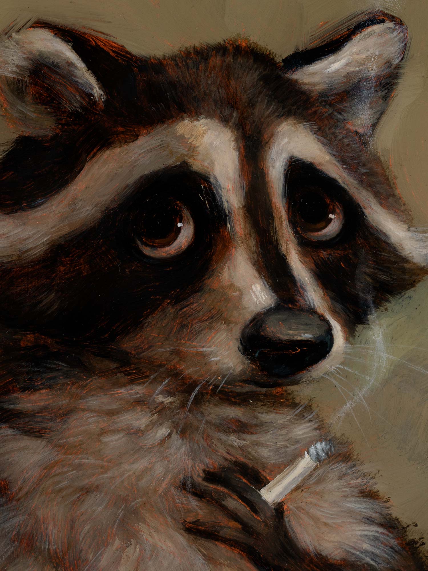 Smoking Raccoon