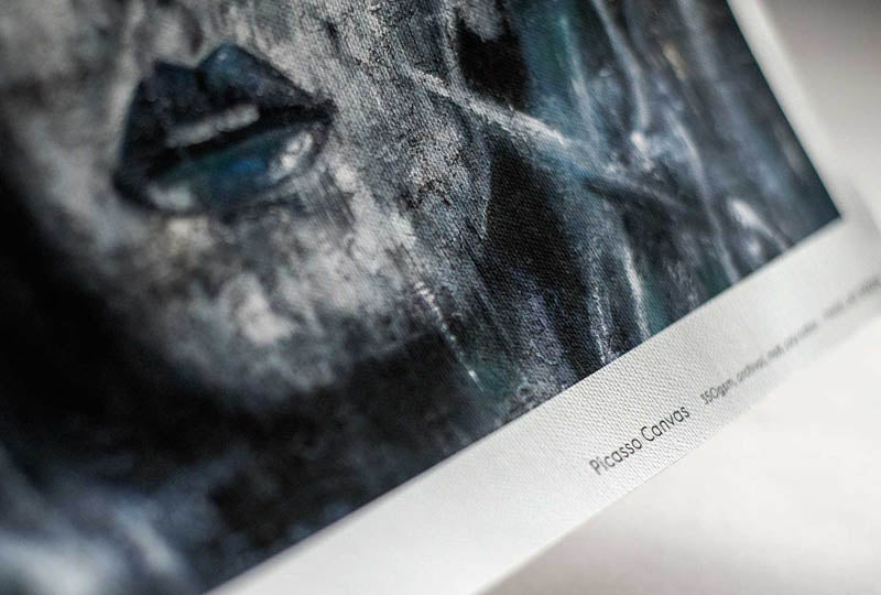 Picasso Canvas