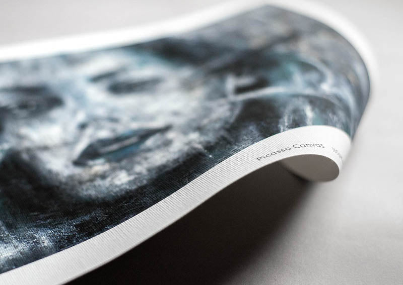 Picasso Canvas